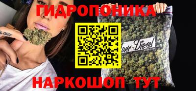 прущие грибы Рузаевка